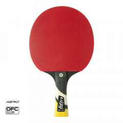 palka cornilleau ping pong